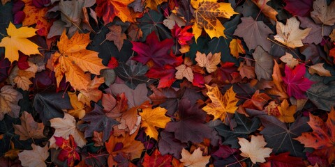 Vibrant Autumn Leaves Carpet - Seasonal Fall Colors in Nature