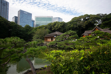 Fototapeta na wymiar Traditional Japanese chashitsu tea room called Tsubame-no-ochaya or Swallow teahouse along the Shiori-no-ike pond of the Hama-rikyū Gardens