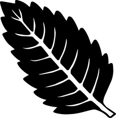 hand drawn vector of leaf decoration.