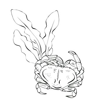 recommend clip art: Sea crab and algae bush. Hand drawn illustration, graphic set. Drawn in black ink in sketch style. Isolated on white background, packaging design and children's coloring pages