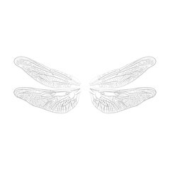 dragonfly wings outline isolated on white background vector illustration
