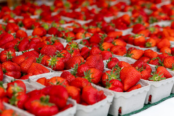large pile of red strawberries in white boxes