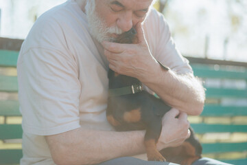 Senior Man and Dachshund Dog A Heartwarming Friendship in the Park