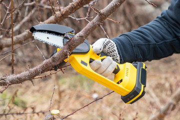 Gardener's hand cuts branch on a tree, with using small handheld lithium battery powered chainsaw....