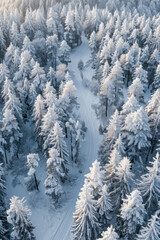 Winter Wonderland Aerial View - curvy road in the woods