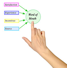 What Lead to Word of Mouth