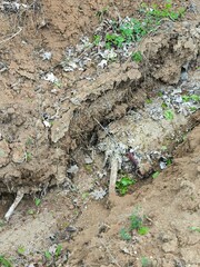Road, soil, ground, cracked soil, relief, mountain, ravine, stones, chalk, colors flowers, nature, ecology