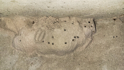 Mud background