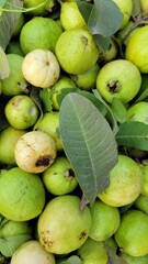 Gawa fruit background texture