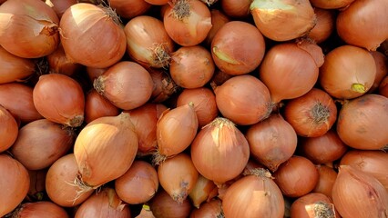 Obraz premium Onion background texture