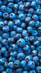 A flat lay composition of a blueberry field, highlighting the rich texture and deep colors of the berries amidst their natural environment.
 - obrazy, fototapety, plakaty