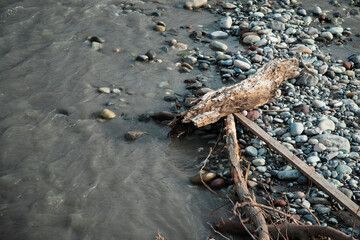 Driftwood and Rocks on the Shore . The problem of river shallowing concept