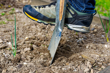 High angle view of spade gardening tool with male shoe at vegetable bed of home garden at Swiss City of Zürich on a cloudy spring morning. Photo taken April 28th, 2024, Zurich, Switzerland.