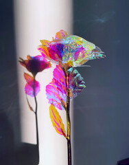 beautiful unusual holographic rose. new modern decorative style