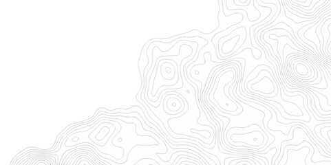 White wave paper curved reliefs abstract background. The topographic map contour in lines isolated. Abstract white topographic map background with lines. Background of the topography map.