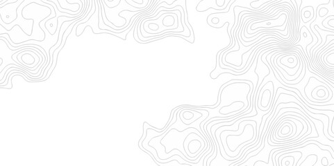 White wave paper curved reliefs abstract background. The topographic map contour in lines isolated. Abstract white topographic map background with lines. Background of the topography map.