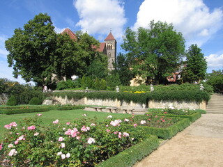 Rosengarten auf dem Schloßberg in der Fachwerkstadt Quedlinburg im Nördlichen Harzvorland in Sachsen-Anhalt