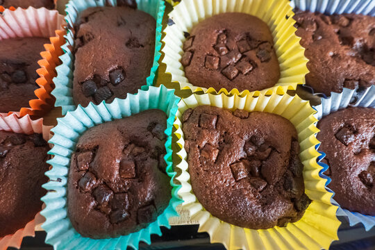 Homemade baked chocolate cupcakes with chocolate chips sitting inside colorful baking liners inside hot baking tray straight from from oven