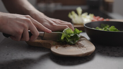 man hand cutting romaine lettuce on wood board to make salad - Powered by Adobe