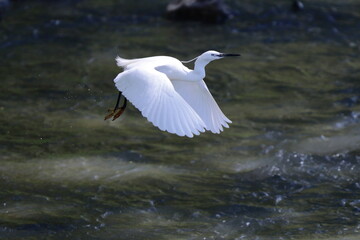 acqua e luce
