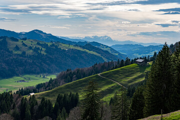 Spring hike on the Thaler and Salmaser Höhe in Immenstadt with a view of the Alpsee