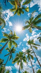 palm trees on the beach on sunny sky background
