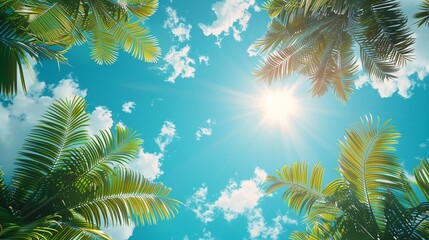 Fototapeta na wymiar tropical summer background with palm tree on sunny sky