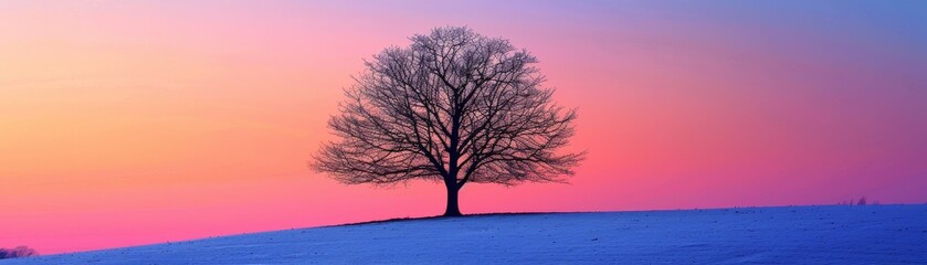 Lone tree silhouette against a stark, colorful twilight sky, minimalistic and dramatic natural scene