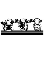 3 Funny Peeking Cows| Farm Animal | Farm Life | Peeking Animal | Cattle Farm | Cow Lover | Barn | Dairy Farm | Original Illustration | Vector and Clipart | Cutfile and Stencil