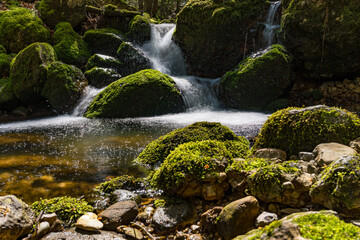 Spring hike to the Immenstadter and Gschwender Horn near Immenstadt in the Allgau