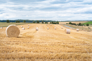 Round straw bales bound in plastic netting in a farmers field in rural english countryside awaiting...