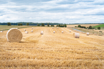 Round straw bales bound in plastic netting in a farmers field in rural english countryside awaiting collection before it rains view accross field to the horizon