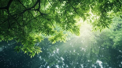 Fototapeta na wymiar Lush Green Canopy Filtering Sunlight Onto Serene River Below in Cinematic Nature Scenery