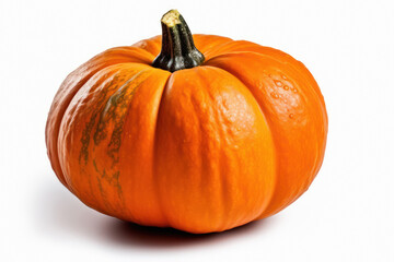 Obraz premium Single Large fresh Orange Pumpkin