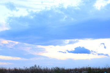 秋の青空とススキ林のある夕暮れの風景