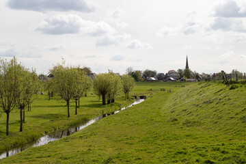 Pasture with sheep and in the background the church tower of the rural village of Ilpendam in North Holland.