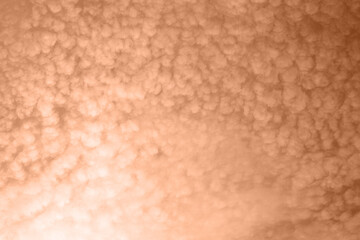 tender fluffy soft clouds the color of peach fluff