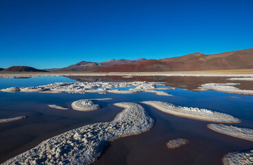 Laguna Verde