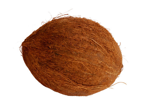 Peeled coconut isolated on transparent layered background.