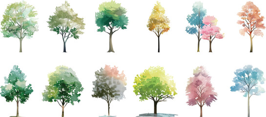 tree watercolor vector illustration, Minimal style tree painting hand drawn, Side view, set of graphics trees elements drawing for architecture and landscape design. summer