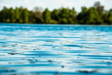 Nahaufnahme von blauen Wasser eines Sees der sich an einem Wald befindet