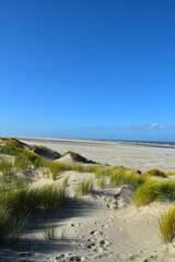 Borkum, Sanddünen am Nordstrand