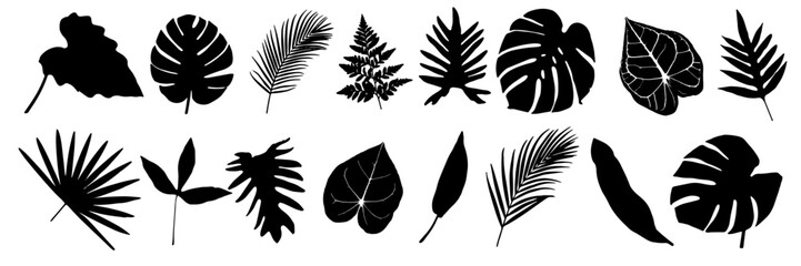 Set of palm leaves silhouettes isolated on white background