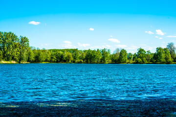 Ein blauer See an dem ein grüner Wald erkennbar ist über diesen befindet sich der blaue Himmel mit einigen weißen Wolken