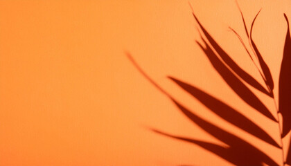 Bright orange background with plant shadows for product or cosmetics. High quality photo