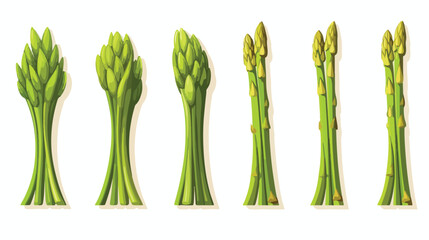 Asparagus stalks. Green spears of healthy vegetable