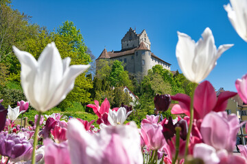 Meersburg, Blick zur Burg
