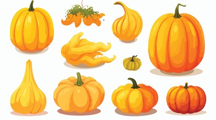 Autumn pumpkin butternut squash and gourd of differ