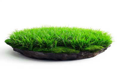 Lush Green Circular Grass Turf Cutout, Garden Landscaping Element, Isolated 3D Render for Outdoor Designs - obrazy, fototapety, plakaty