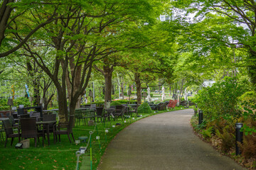 赤坂にある東京ミッドタウンの新緑と小径
